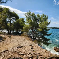 Golden Cape Forest Park (Zlatni Rt) - Rovinj