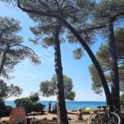 Golden Cape Forest Park (Zlatni Rt) - Rovinj