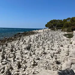 Golden Cape Forest Park (Zlatni Rt) - Rovinj