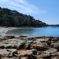 Golden Cape Forest Park (Zlatni Rt) - Rovinj