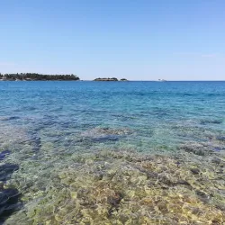 Golden Cape Forest Park (Zlatni Rt) - Rovinj