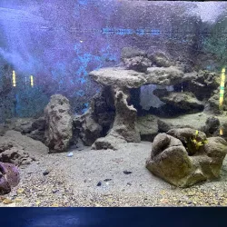 Rovinj Aquarium - Rovinj