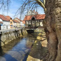 Samobor Carnival - Samobor