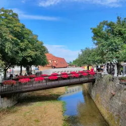 Samobor Carnival - Samobor