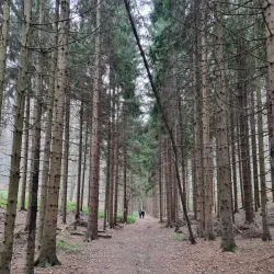 Samobor Hiking Trails - Samobor