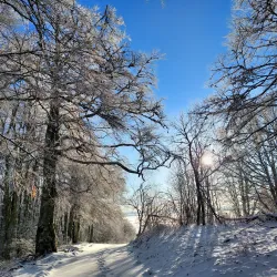 Žumberak-Samoborsko Gorje Nature Park - Samobor