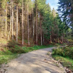 Žumberak-Samoborsko Gorje Nature Park - Samobor