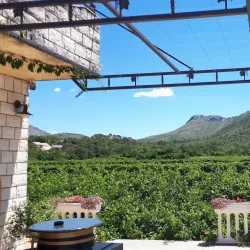 Local Winery Tours - Sesvete