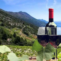 Local Winery Tours - Sesvete