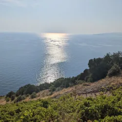 Local Winery Tours - Sesvete