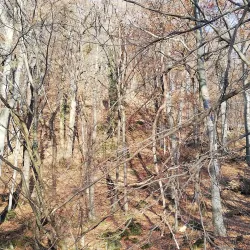 Nature Reserve Medvednica - Sesvete