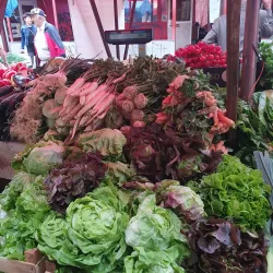 Sesvete Market - Sesvete