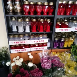 Church of St. Francis - Sinj