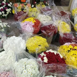 Church of St. Francis - Sinj