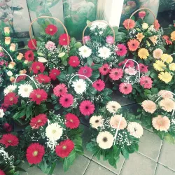 Church of St. Francis - Sinj