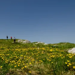 Kamešnica Mountain - Sinj