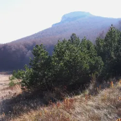 Kamešnica Mountain - Sinj