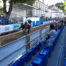 Sinjska Alka Tournament - Sinj