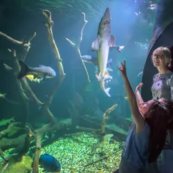 Aquatika Freshwater Aquarium - Sisak