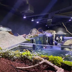 Aquatika Freshwater Aquarium - Sisak