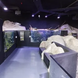 Aquatika Freshwater Aquarium - Sisak