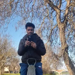 Old Bridge (Stari Most) - Sisak