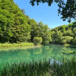 Slunj Forest Trails - Slunj