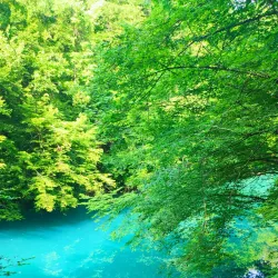 Slunj Forest Trails - Slunj