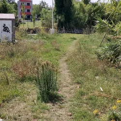 Church of St. Stephen - Solin