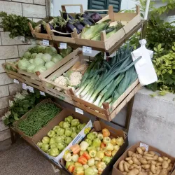 Solin Market - Solin