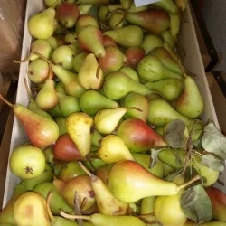 Solin Market - Solin