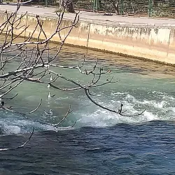 Solin Market - Solin