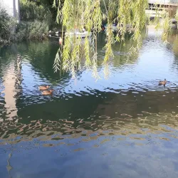 Solin Market - Solin