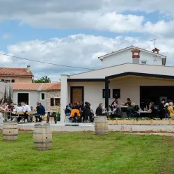 Istrian Wine Routes - Sveti Petar u Šumi