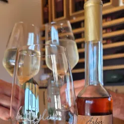 Istrian Wine Routes - Sveti Petar u Šumi