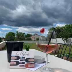 Istrian Wine Routes - Sveti Petar u Šumi