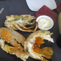 Istrian Wine Roads - Umag