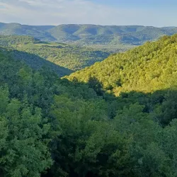 Parenzana Trail - Umag