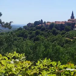 Parenzana Trail - Umag