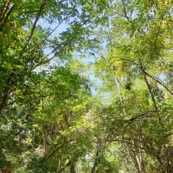 Parenzana Trail - Umag