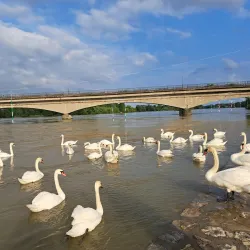 Drava River Park - Varazdin
