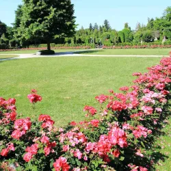 Varazdin Cemetery - Varazdin