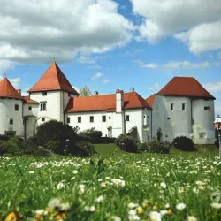 Varazdin Old Town - Varazdin