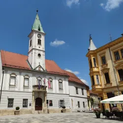 Varazdin Town Hall - Varazdin