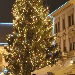 Varazdin Town Hall - Varazdin