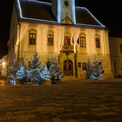 Varazdin Town Hall - Varazdin