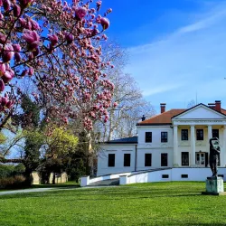 Varazdin Town Hall - Varazdin