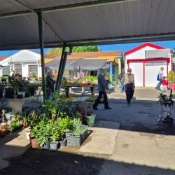 Vinkovci Market - Vinkovci