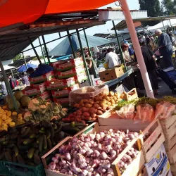 Vinkovci Market - Vinkovci