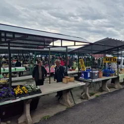 Vinkovci Market - Vinkovci